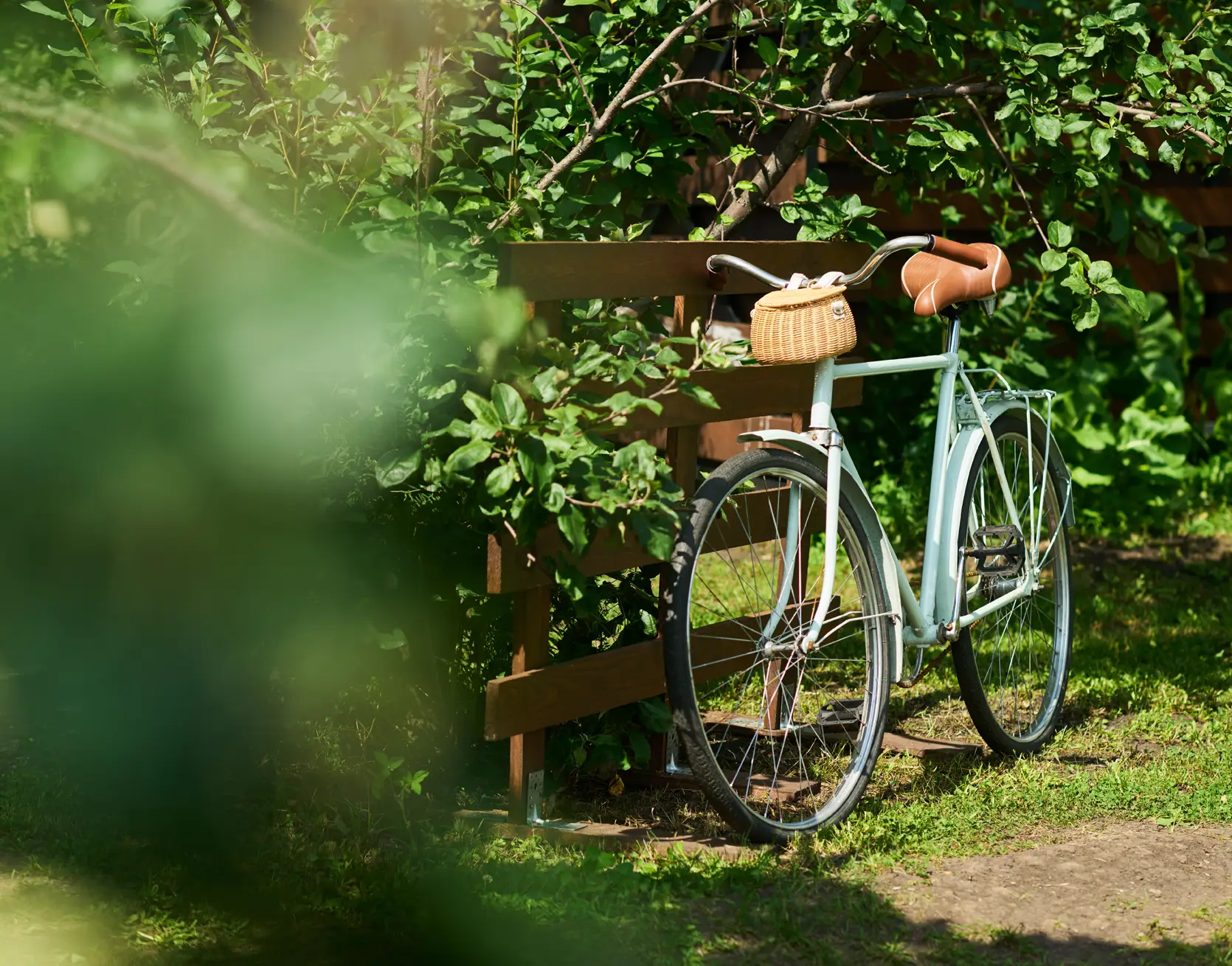 bike-on-trail-near-woods