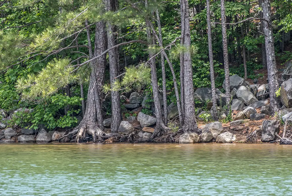 landscape-lake-oconee