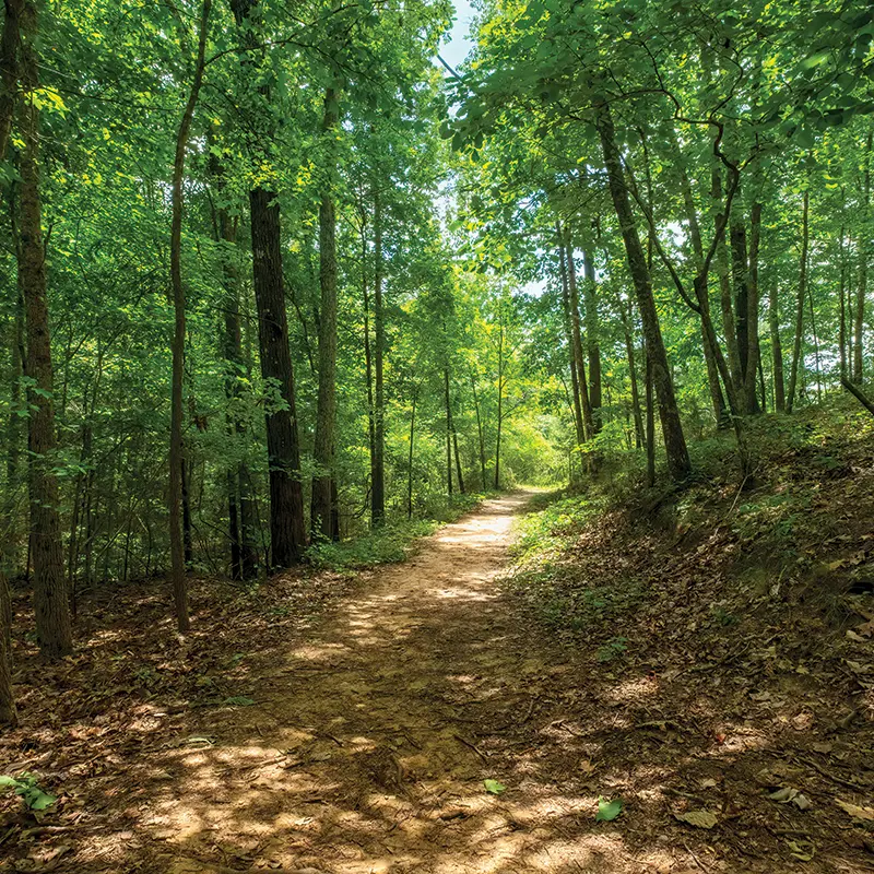 walking trails camp buckhead