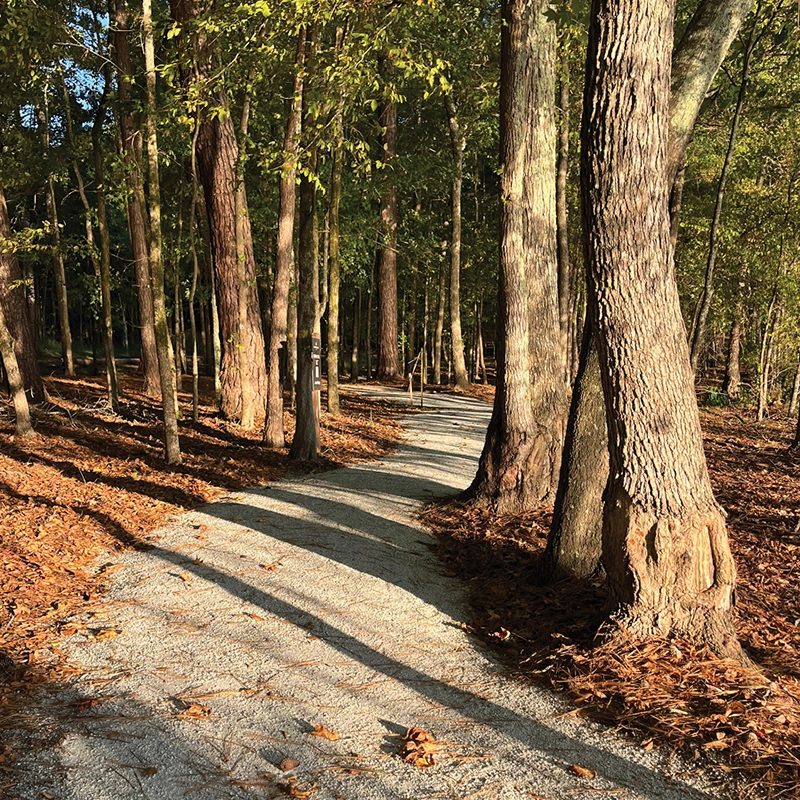 walking trails camp buckhead